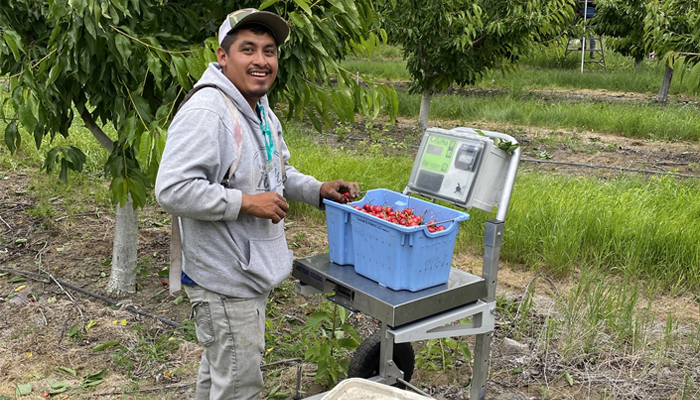 Three Ideas to Attract and Keep Your Farmworkers